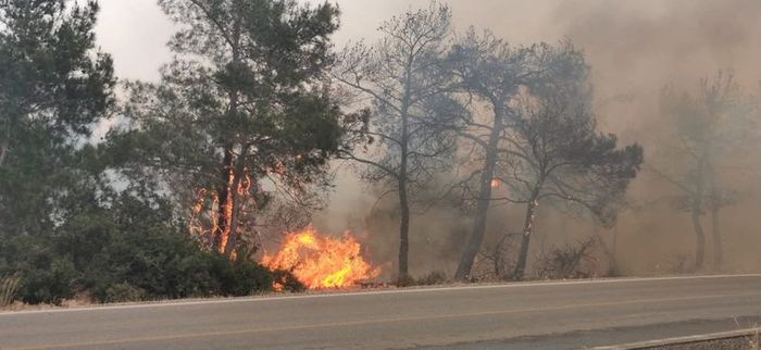 Yangınlarının bilançosu… 12 bin dönüm arazi yandı