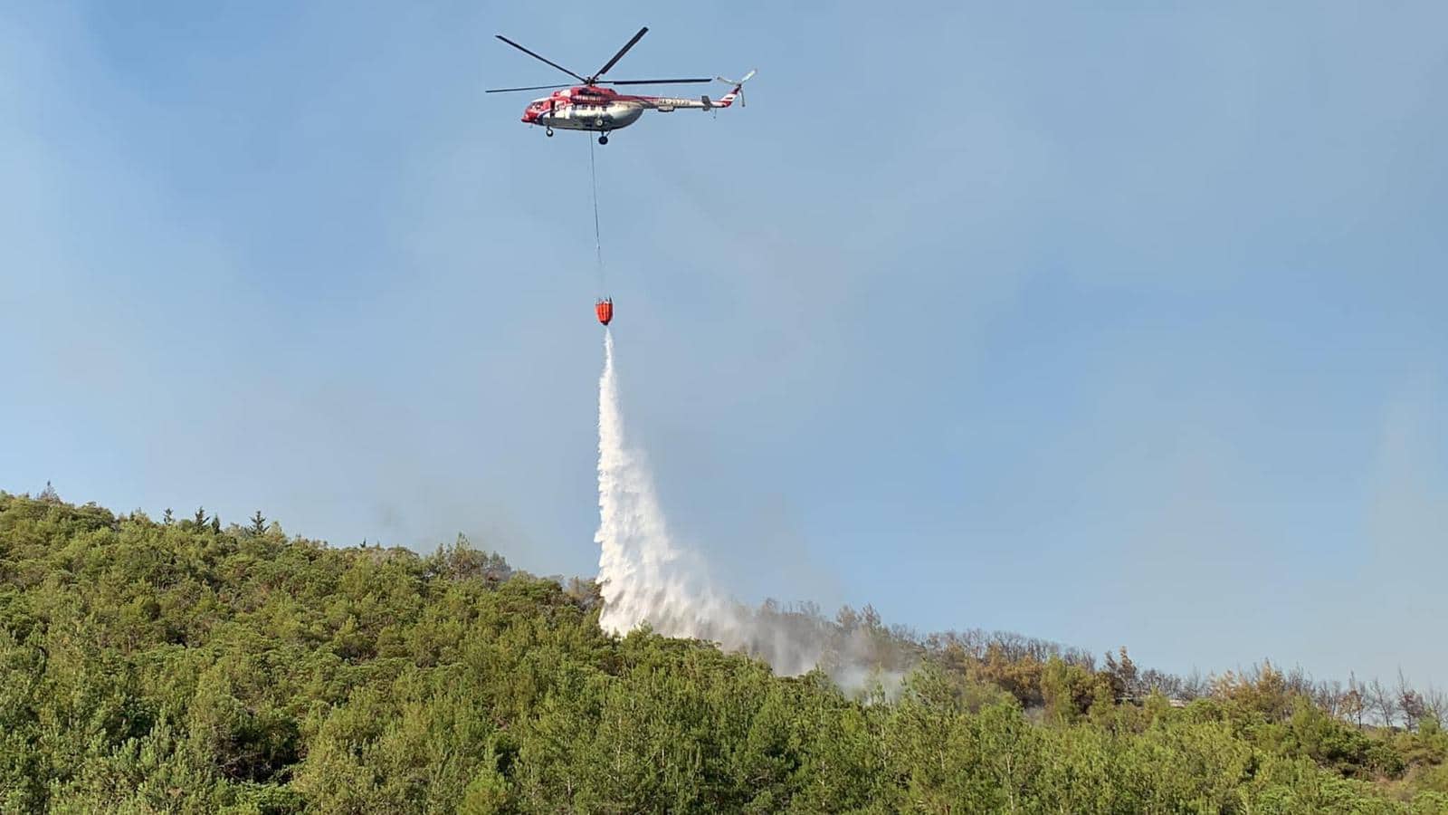 Başbakanlık Afet ve Acil Durum Komitesi Başkanı Cahitoğlu:Yangına 5 helikopter ile müdahale ediliyor