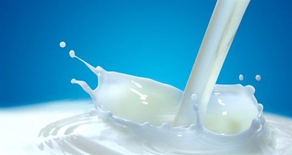 SÜTEK tarafından 1-15 Ekim’de alınan sütün bedeli ödeniyor