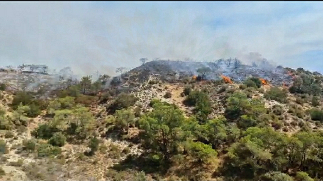 Ağıllar’daki yangın sonucu yaklaşık 200 dönümlük alan yandı