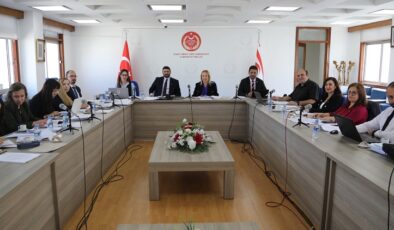 İdari Komite, Sağlık Hizmetleri Dairesi Yasa Tasarısı’nı ele aldı