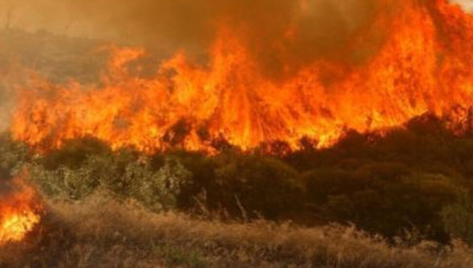 Limasol’da Büyük Yangın