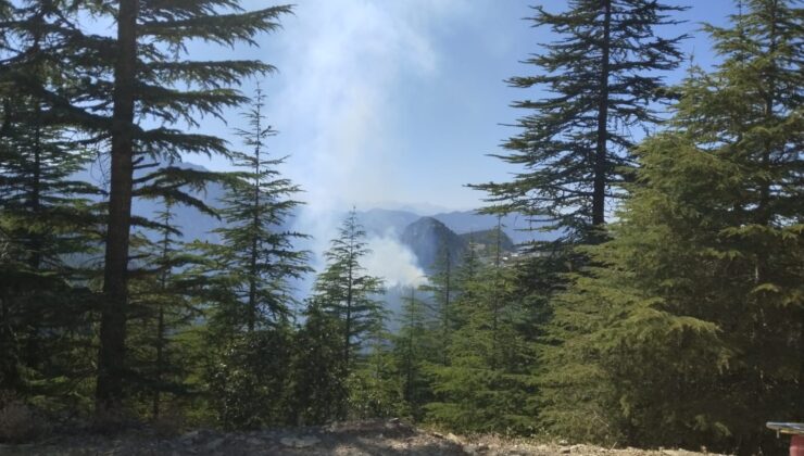 Adana’da çıkan orman yangınına müdahale ediliyor