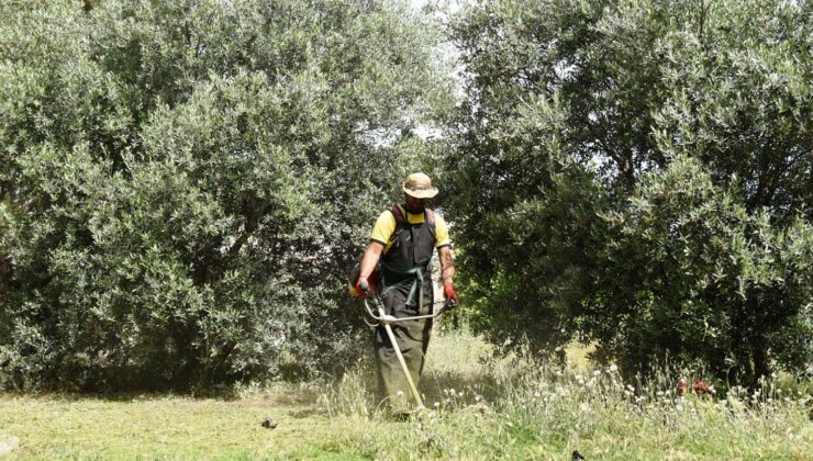 LTB’den bölgesel temizlik öncesi arsa ve arazi sahiplerine çağrı