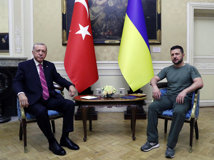 TC Cumhurbaşkanı Erdoğan Ukrayna Devlet Başkanı Zelenskiy ile bir araya geldi