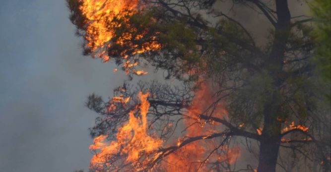 Orman Dairesi yangın riskine karşı uyardı… Sıcaklık 45 derece üzerine çıkacak, yangına dikkat!