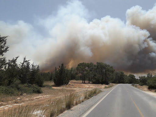 Orman yangınların nedeni…  Elektrik nakil hatları ve izmaritler